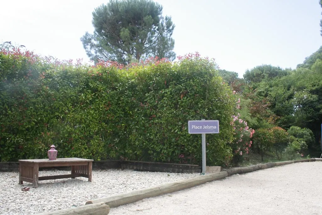 Guest house Le Vieux Platane Hotel Cairanne
